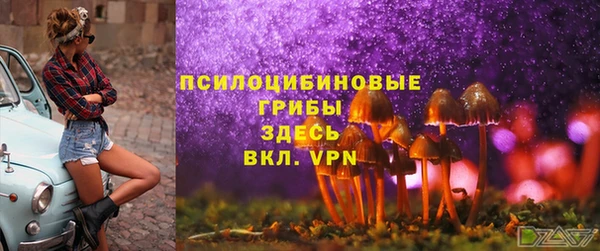 дурь Армянск