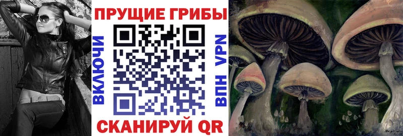 KRAKEN вход  Лахденпохья  Псилоцибиновые грибы GOLDEN TEACHER 